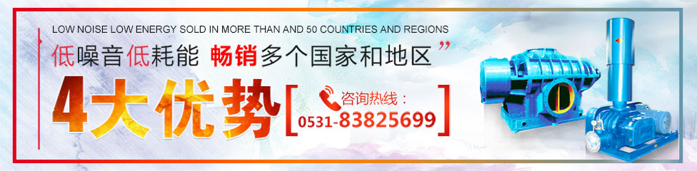 羅茨風(fēng)機(jī)、三葉羅茨鼓風(fēng)機(jī)、回轉(zhuǎn)式鼓風(fēng)機(jī)，低噪音低能耗，暢銷多個(gè)國(guó)家和地區(qū)